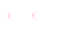 custom culture